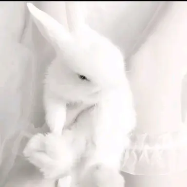 Profile image of 유저