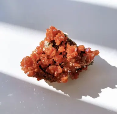 Profile image of 토비다