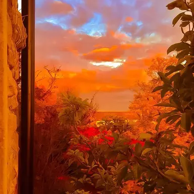 Profile image of 덕개