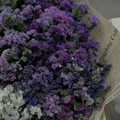 Profile image of 수현