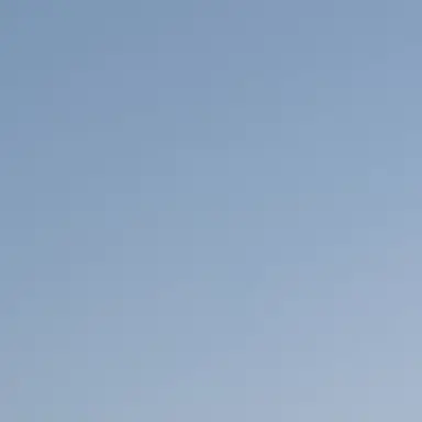 Profile image of 윤 민