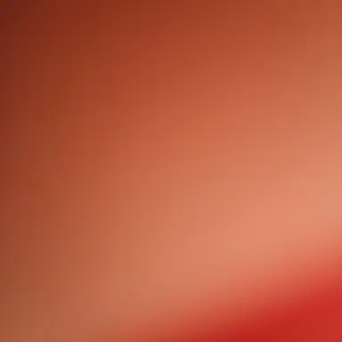 Profile image of 게스트1337