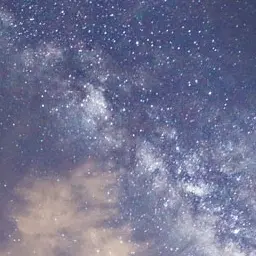 Profile image of 스텔레이션