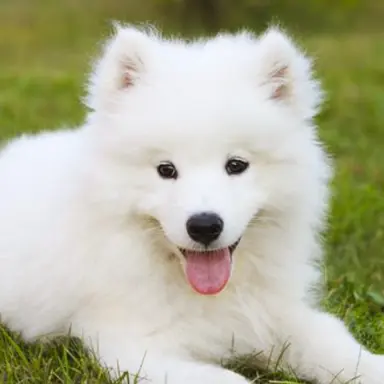 Profile image of 스노