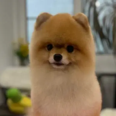 Profile image of 뚀뚀