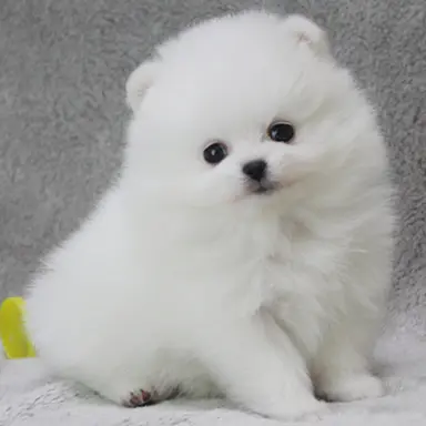 Profile image of 뚜비