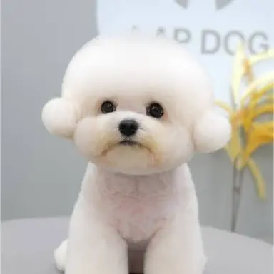 Profile image of 멜로