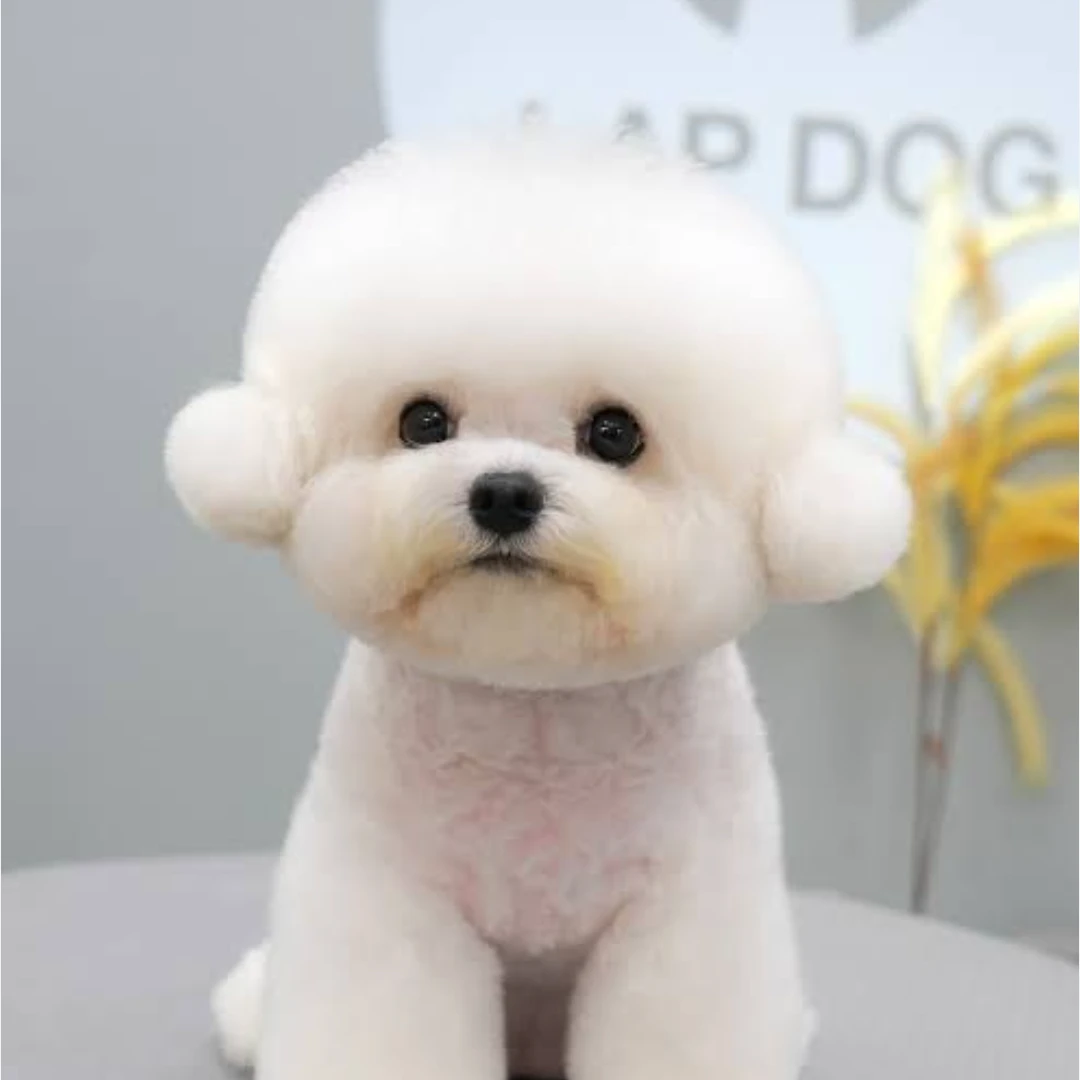 멜로
