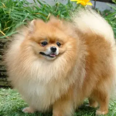 Profile image of 또또