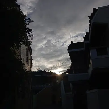 Profile image of 서라더