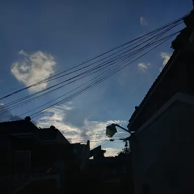 Profile image of 황수현