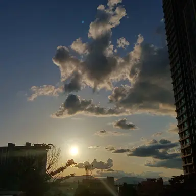 Profile image of 정공룡