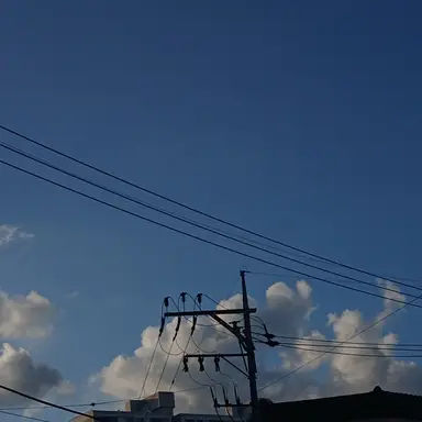 Profile image of 뜰팁