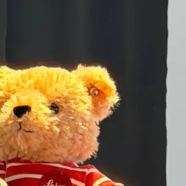 Profile image of 藤澤涼架