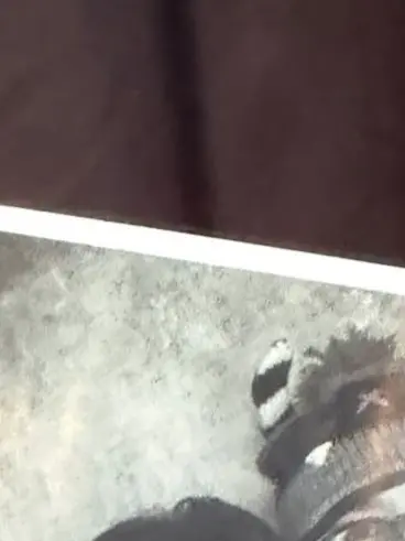 PlacidCake8062의 さよならって言ったのは君なのに