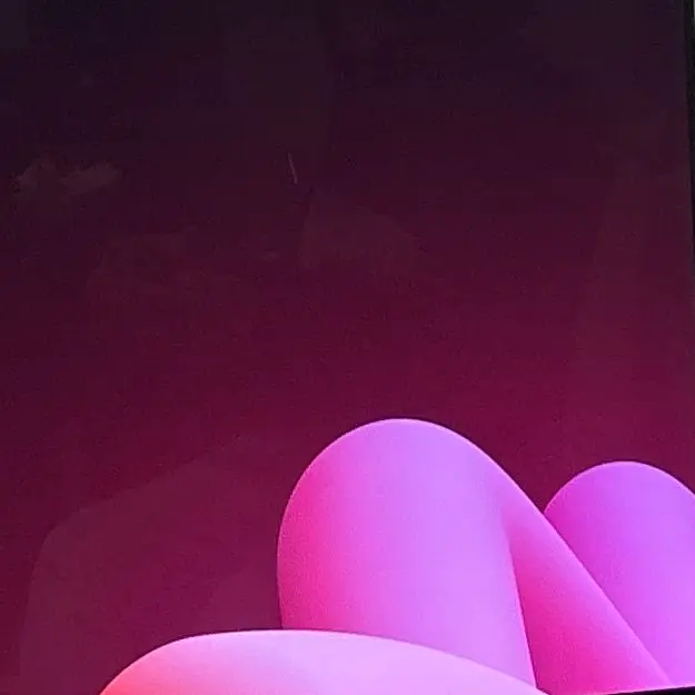 CherryGnat1475의 sn学校にて