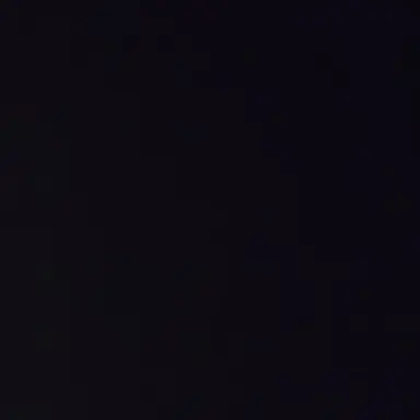 Profile image of E
