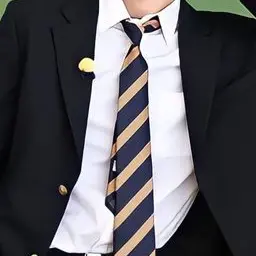 Profile image of 岩本 照