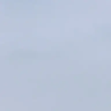 Profile image of テト