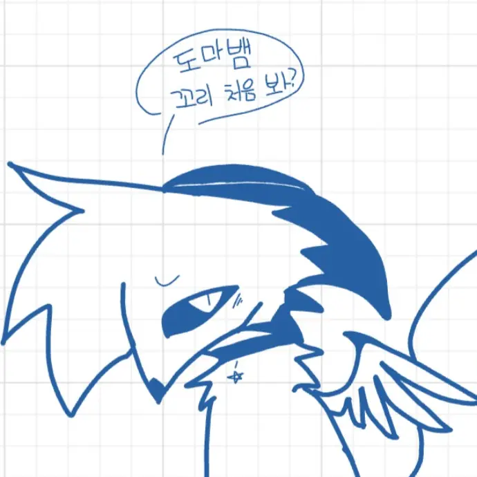 YUMA_의 아멜리아