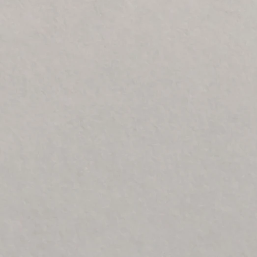 レイ