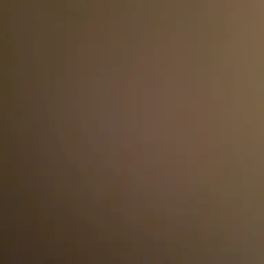 Profile image of 비