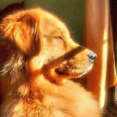 Profile image of 히유