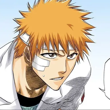 Profile image of Ichigo Kurosaki