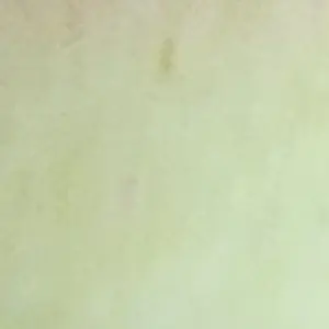 Profile image of 미연