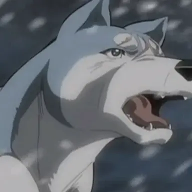 Profile image of Gin