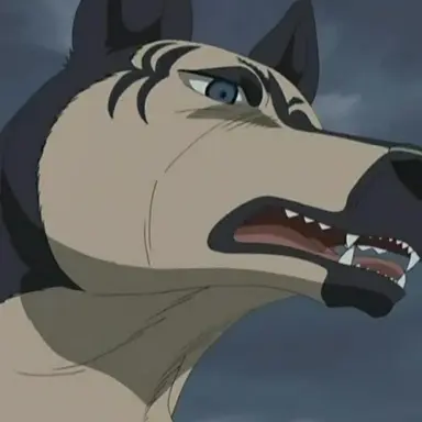 Profile image of John