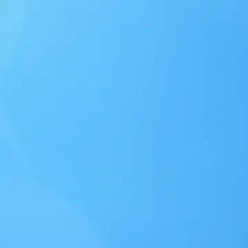 Profile image of ブリ子