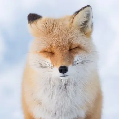 Profile image of 聖愛