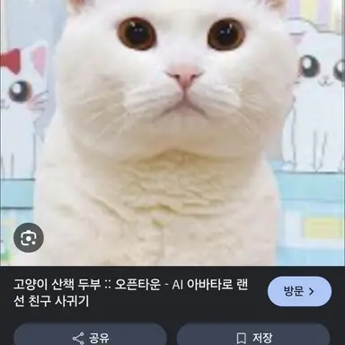 Profile image of 두부