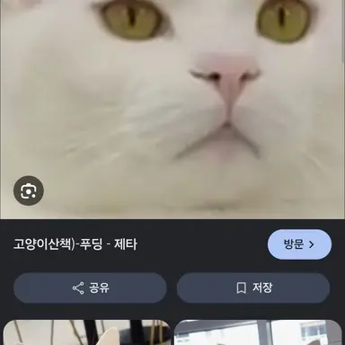 Profile image of 푸딩