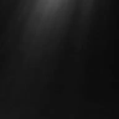 Profile image of サン