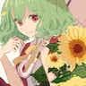 Profile image of 幽香