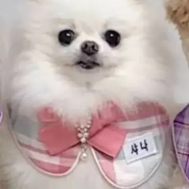 Profile image of 임샤나