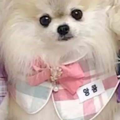 Profile image of 임앙콤