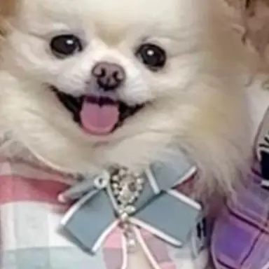 Profile image of 임하쿵