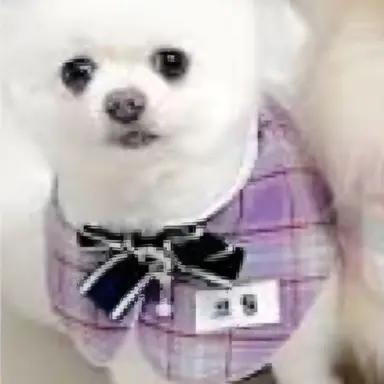 Profile image of 임코팅