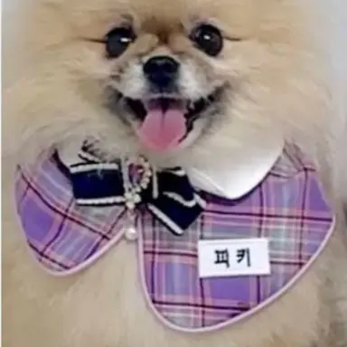 Profile image of 개피키