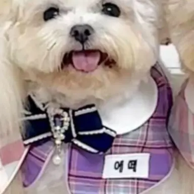 Profile image of 임에떼