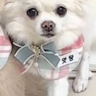 Profile image of 임앗탕