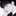 이 환