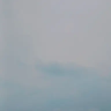 Profile image of 김동현