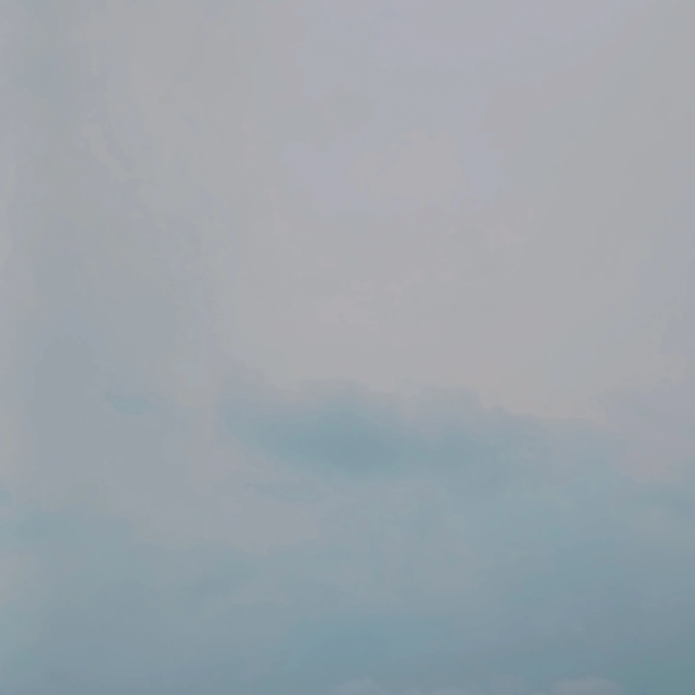 김동현