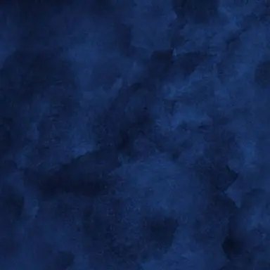 Profile image of 樹