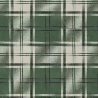 Profile image of 世良