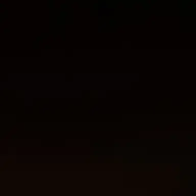 Profile image of 팜하닝